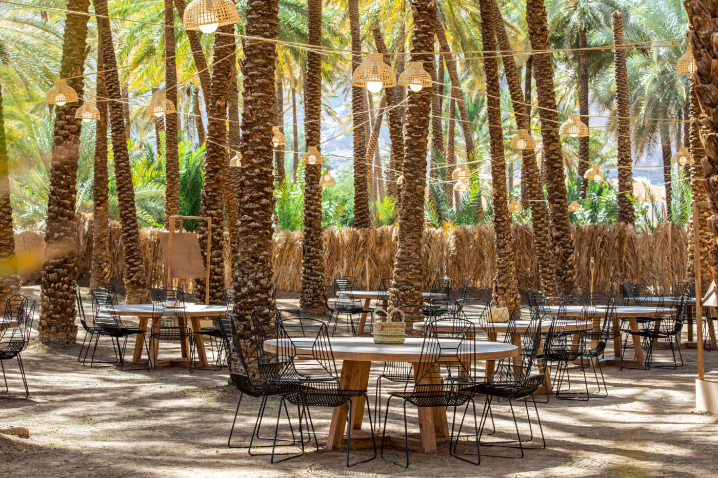 Outdoor dining setup